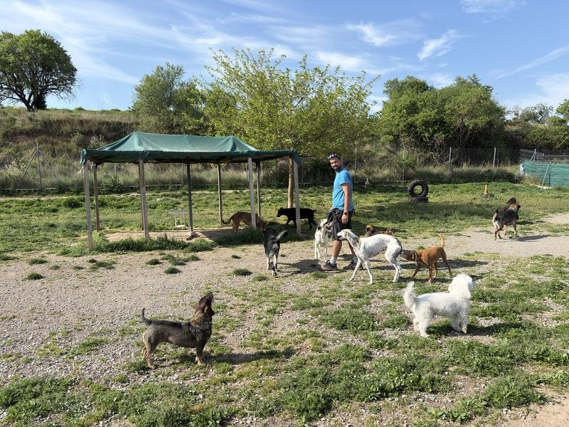 Edu con los perros en la zona de juegos
