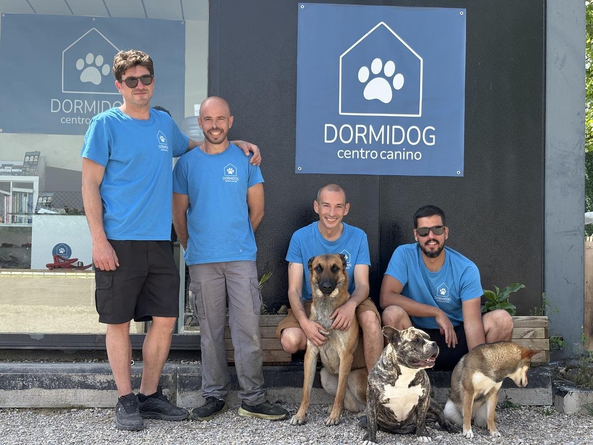 Clase de obediencia canina en Dormidog