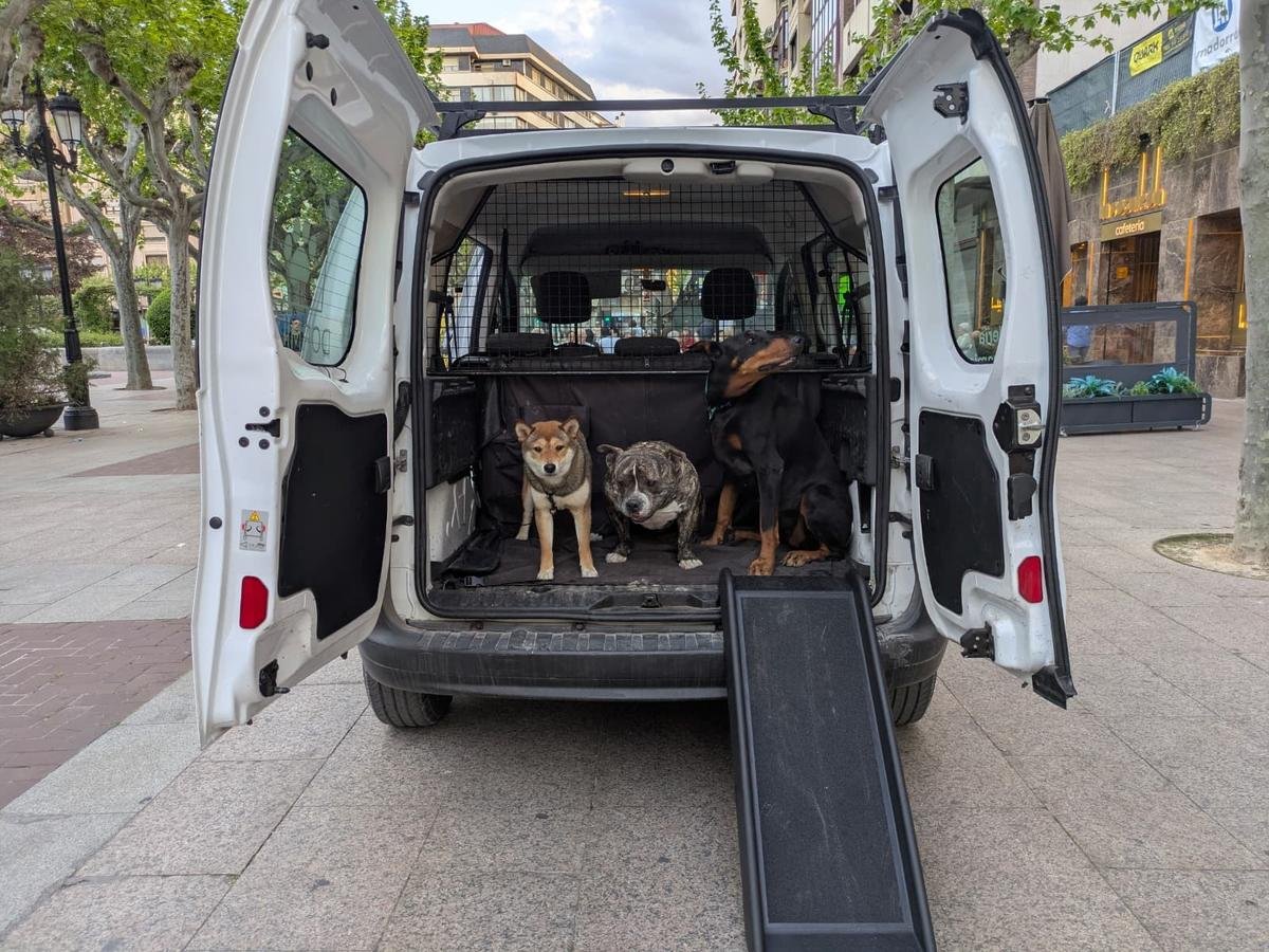 Furgoneta de transporte Dormidog con perros y rampa